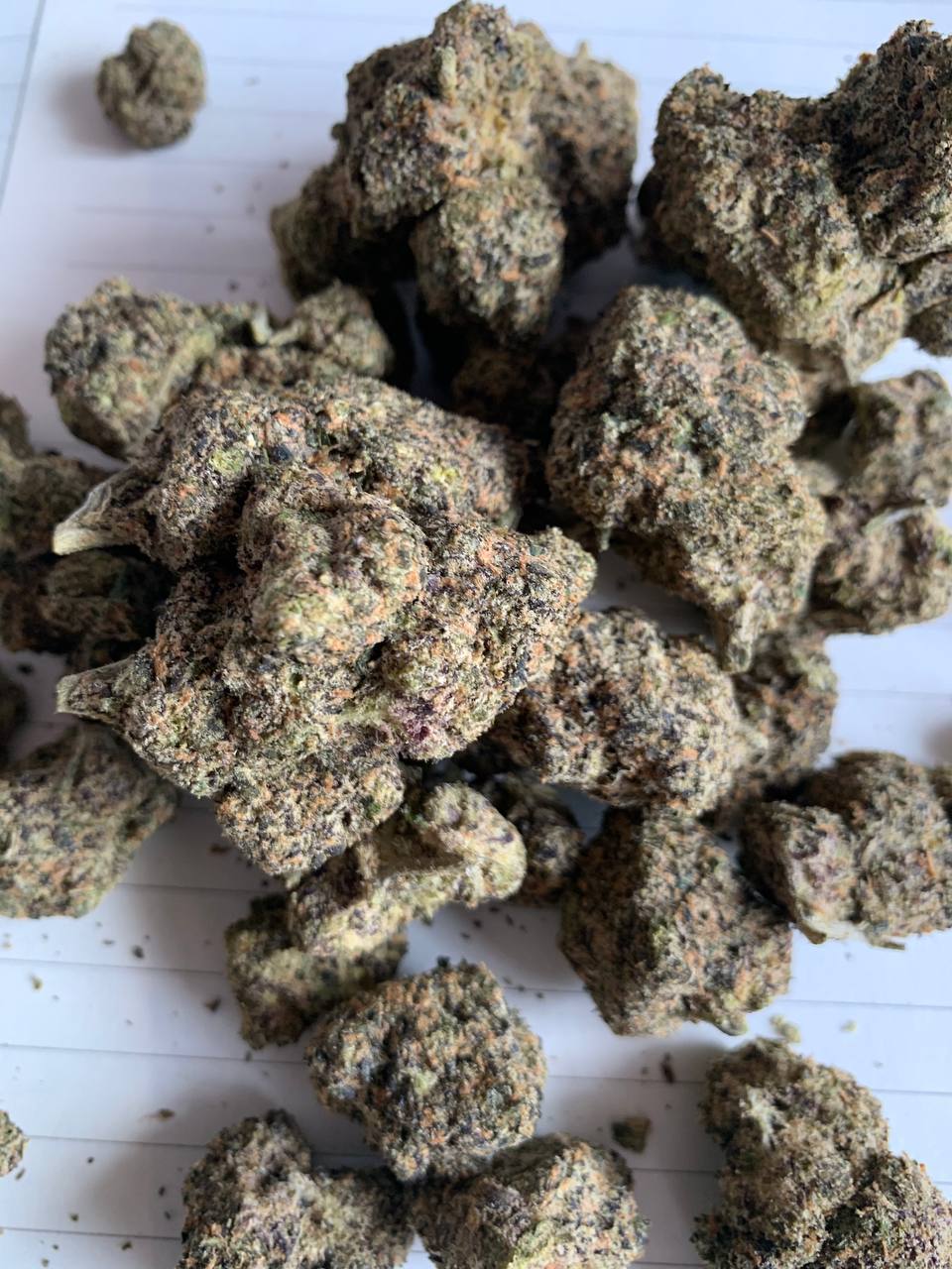 【天津】进口green buntz