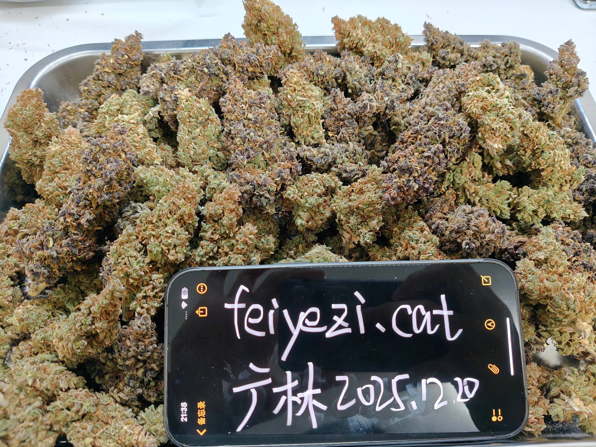 【成都 】国产七品种混拼