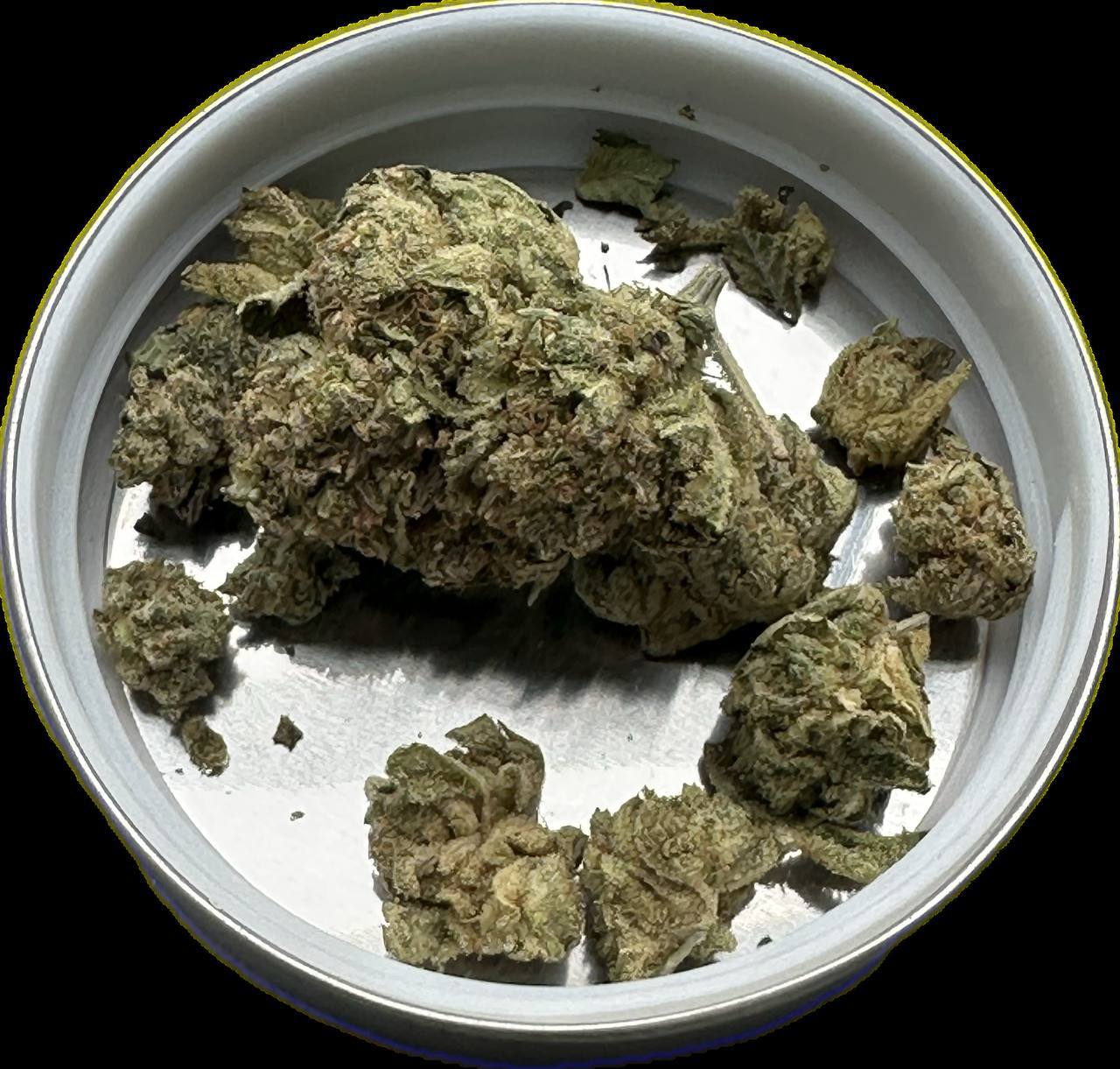 【广东】Green Crack国产