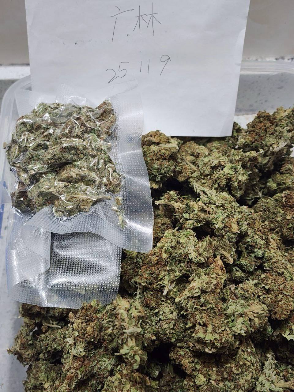 【广东】Blue Oreoz