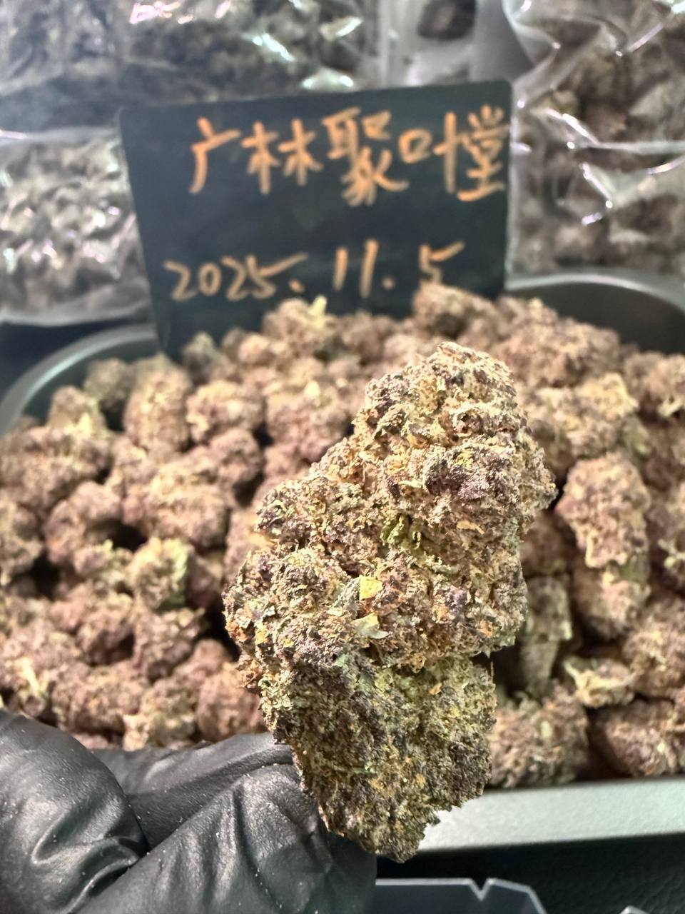 【杭州】进口🇺🇸Purple Gelato🇺🇸