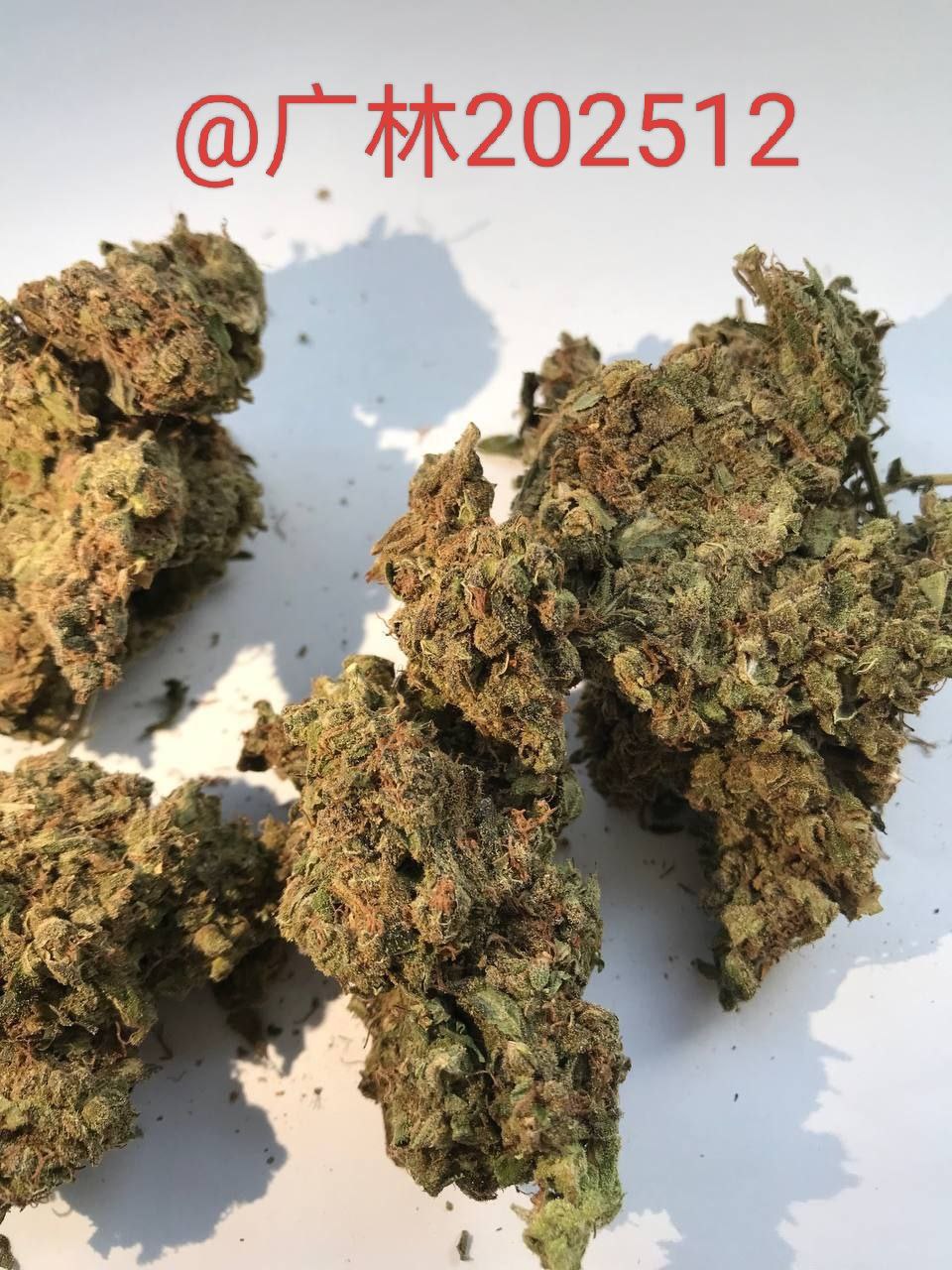 【河北】福利柠檬草莓