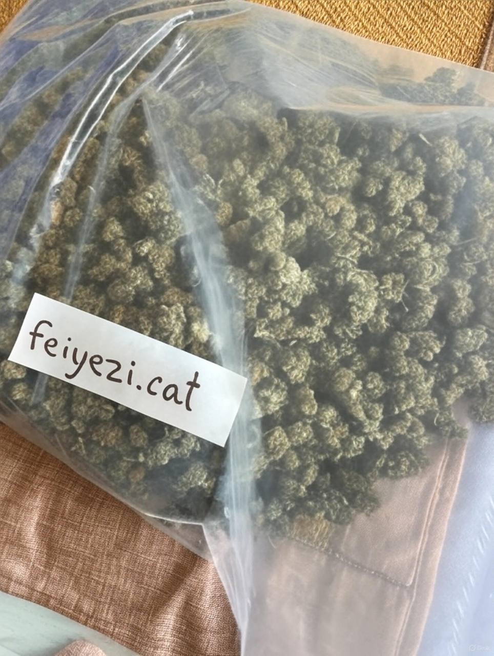 【合肥】国产蓝莓