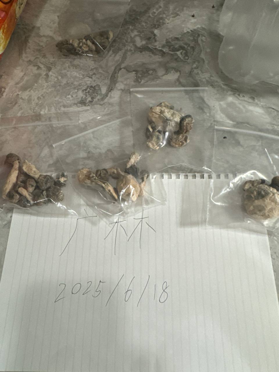 【曼谷】迷幻蘑菇